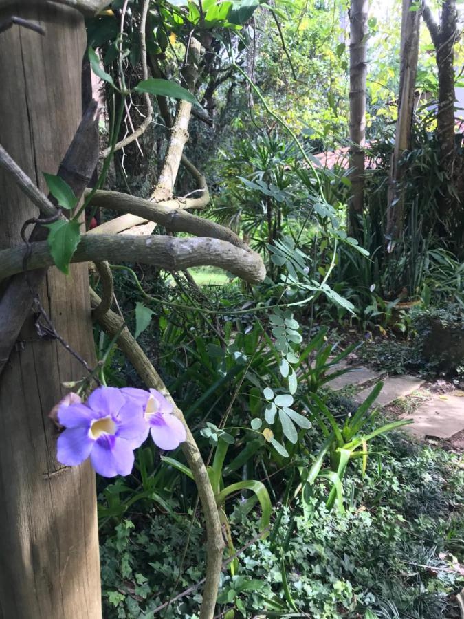 Pousada Flor De Iris São João del Rei Eksteriør billede