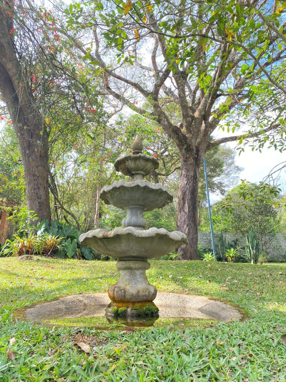 Pousada Flor De Iris São João del Rei Eksteriør billede